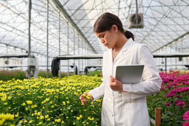 Similar image 21737457