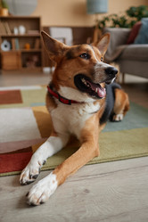 Similar image 21740333