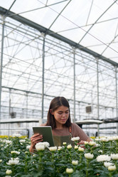 Similar image 21724985