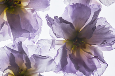 Similar image 21739301