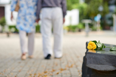 Similar image 21733390