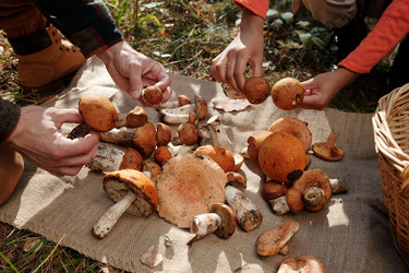 Similar image 21728735