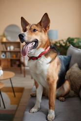 Similar image 21743704