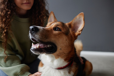 Similar image 21741600