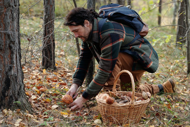 Similar image 21732459