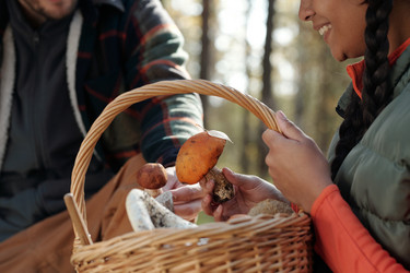 Similar image 21736574