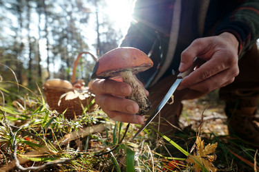 Similar image 21738100