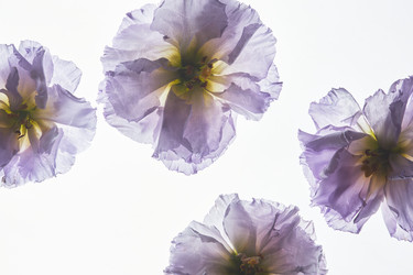 Similar image 21743670