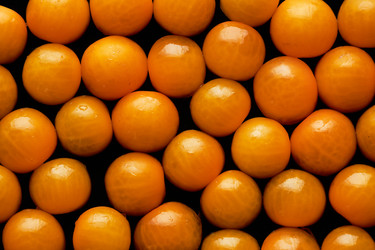 Similar image 21743284