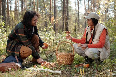 Similar image 21733600