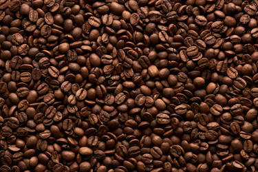 Similar image 21743516