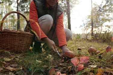 Similar image 21728905