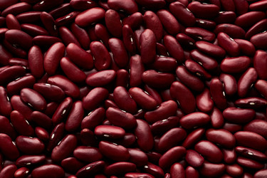 Similar image 21743095