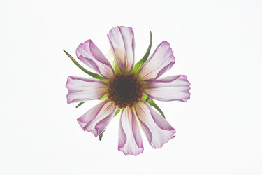 Similar image 21741464