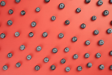 Similar image 21733130