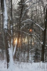 Similar image 21740135