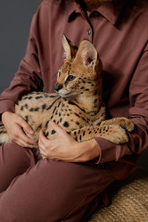 Similar image 21739004