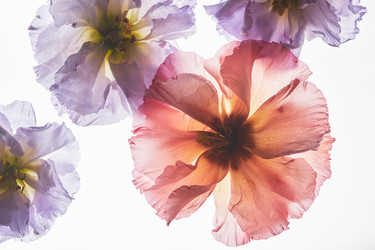 Similar image 21740821