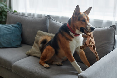 Similar image 21739925