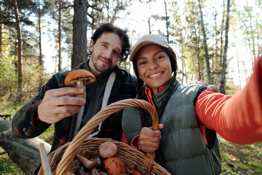 Similar image 21733685