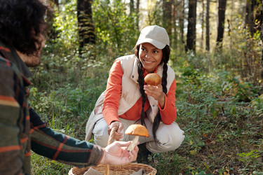 Similar image 21727657