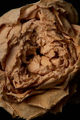 Similar image 21740204