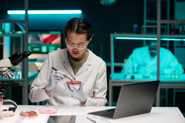 Similar image 21728987