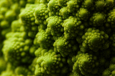 Similar image 21739403