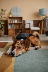 Similar image 21741346