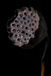 Similar image 21741474