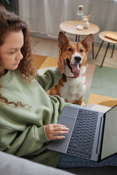 Similar image 21741807