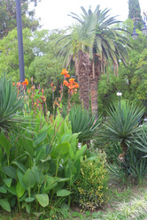 Similar image 21720614