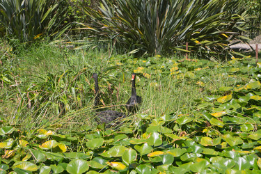 Similar image 21720615