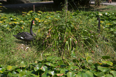 Similar image 21720617