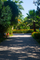 Similar image 21720619