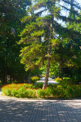 Similar image 21720620