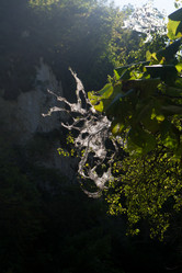 Similar image 21720630