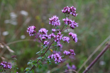 Similar image 21721804