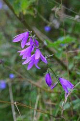 Similar image 21721807