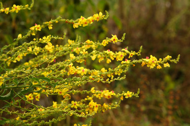 Similar image 21721808