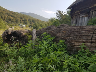 Similar image 21720634