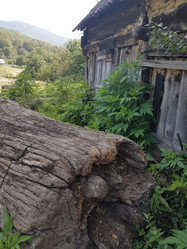 Similar image 21720635