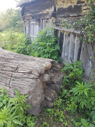 Similar image 21720636