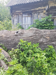 Similar image 21720637