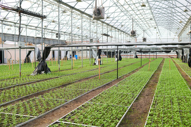 Similar image 21738075