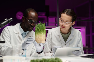 Similar image 21732708