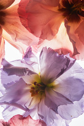 Similar image 21741955