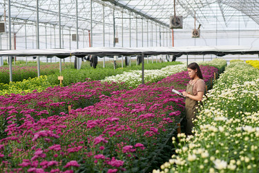 Similar image 21733699