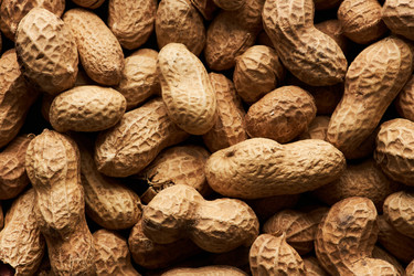 Similar image 21739726