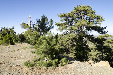 Similar image 21764056